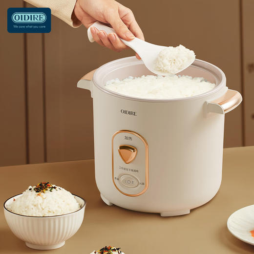 德国OIDIRE迷你电饭煲ODI-DFB9 商品图0