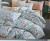 宜庭 双十一 纯棉四件套2.0*2.3 【送原棉春秋被2.0*2.3的一床】 商品缩略图3