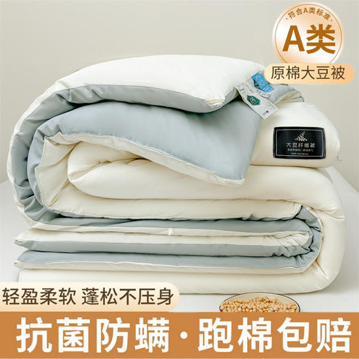 【抗菌除螨！原棉大豆被！】A类母婴抗菌原棉大豆纤维被子 加厚保暖被冬被芯 学生春秋棉被 商品图8