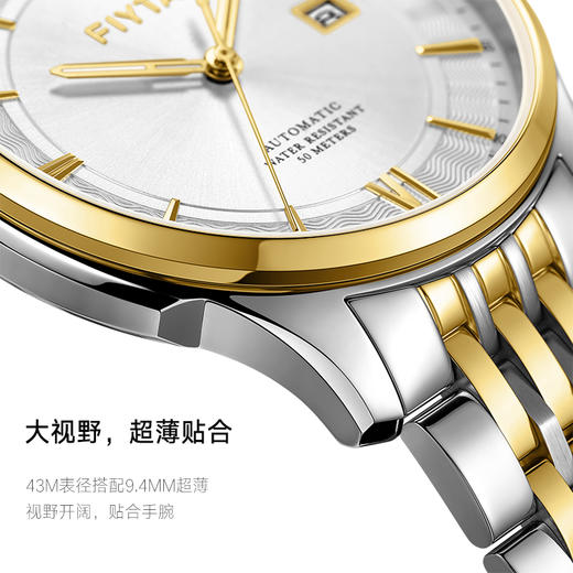 飞亚达经典系列机械男表GA800031.TWT 商品图2