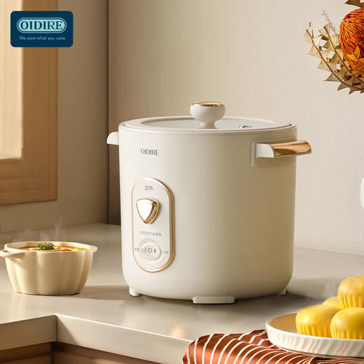 德国OIDIRE迷你电饭煲ODI-DFB9 商品图4
