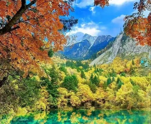 【四川小九寨·松坪沟红叶彩林季】¥65抢单人门票抢先买！指定日期可用！彩林红叶·湖泊海子·栈道秋色…2天打来回～ 商品图5