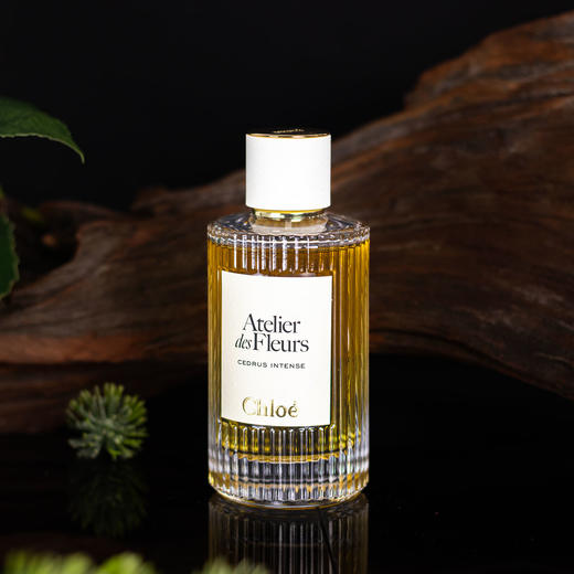 25年新香！蔻依 仙境花园系列-深林雪松 Chloe Atelier des Fleurs Cedrus Intense 分装 商品图2