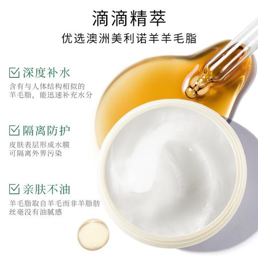 两罐 澳芝曼GM 绵羊油面霜250g 商品图3