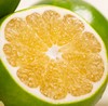 现摘现发,柚子瀑布！【青皮葡萄柚】能徒手榨果汁🍹果肉细嫩清甜，风味浓郁！爆汁爽口超过瘾 商品缩略图1
