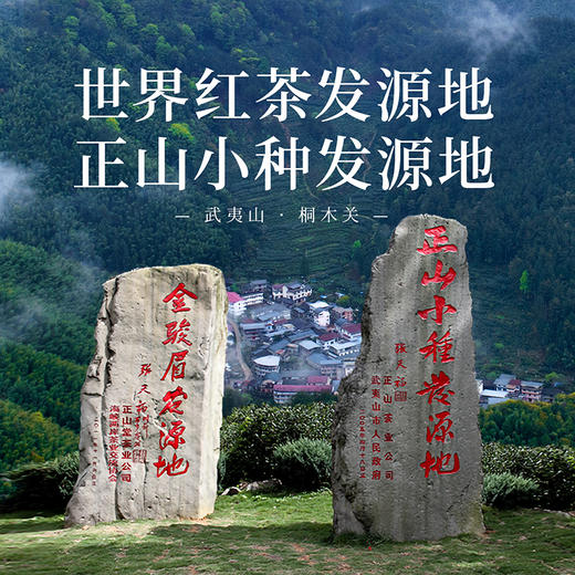 正山堂 传统正山小种礼盒特级正山小种红茶叶礼盒装正宗送礼长辈 商品图6