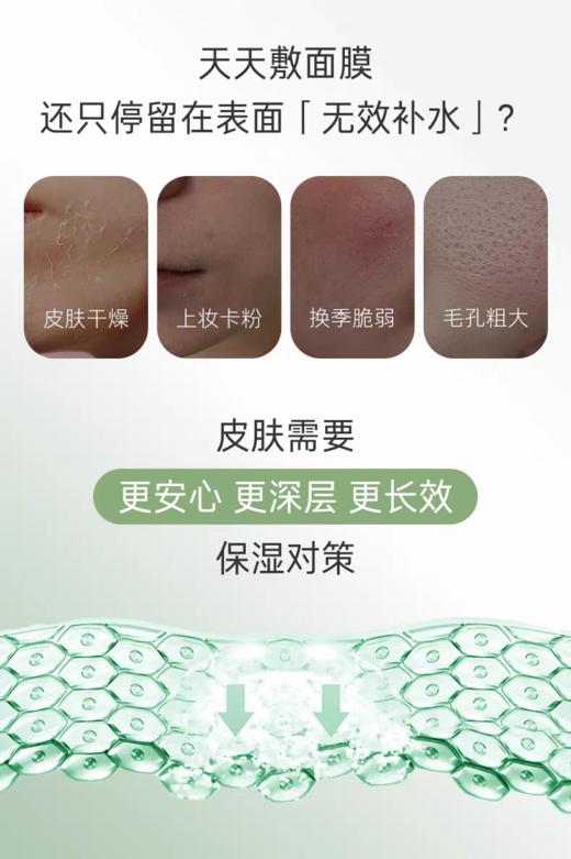 养生堂白桦水光动能修护面膜 商品图4