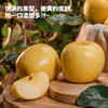 【厂商直发】有机维纳斯黄金苹果果肉脆甜多汁果型饱满新鲜采摘包邮 商品缩略图4