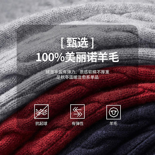 棉仓367826014-美丽诺全羊毛绞花麻花毛衣男秋冬复古老钱 商品图2