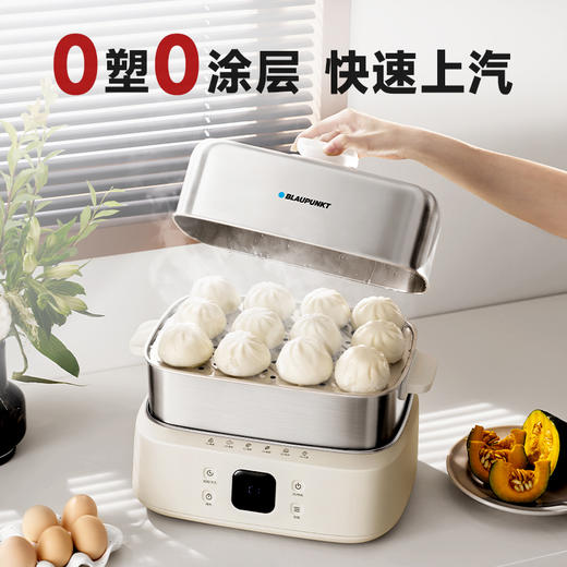 蓝宝多功能电蒸锅家用电热锅BP-ZG12 商品图0