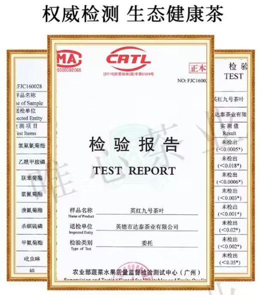 芒种英红九号 大份量一斤装 实惠口粮茶  英德红茶 无公害无农残无化肥 商品图8