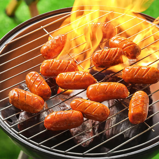 MM 山姆 ARGAL西班牙特立佐风味烤肠 820g 商品图7