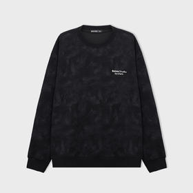 【断码清仓】HX 春秋季圆领卫衣S106533117101/02