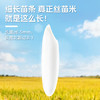 挂绿增城丝苗米 国家地标(软香) 南方籼米 大米30斤 大包装 /粮油调味 /米 /丝苗米 商品缩略图4