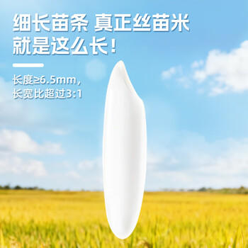挂绿增城丝苗米 国家地标(软香) 南方籼米 大米30斤 大包装 /粮油调味 /米 /丝苗米 商品图4