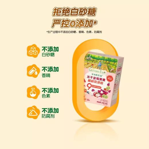 爷爷的农场冻干原粒系列20g 商品图4