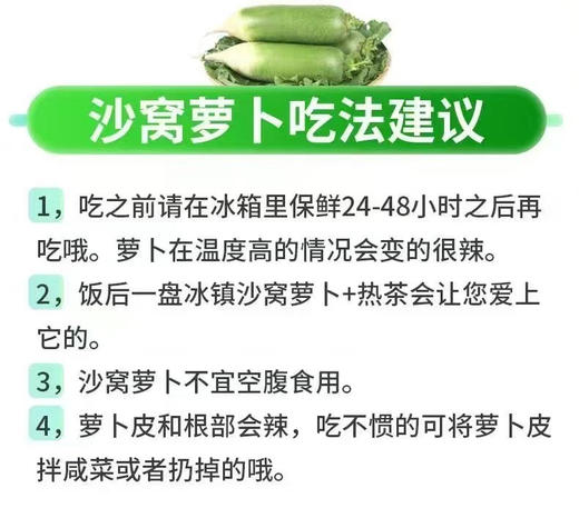 天津沙窝萝卜 商品图6
