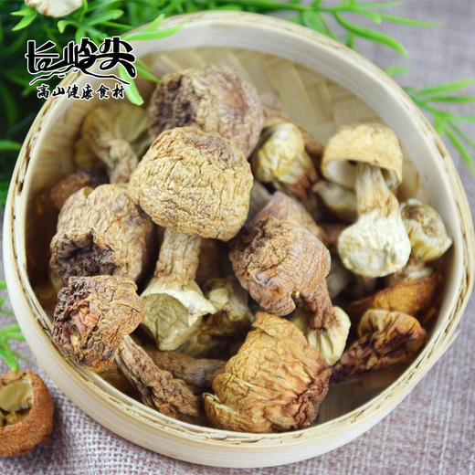长岭尖高山姬松茸100g*1袋—rxs 商品图1