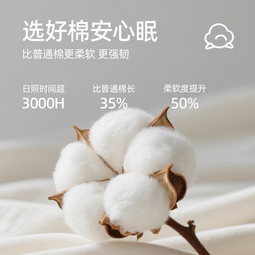 【商场同款】熳洁儿 95棉男士休闲裤百搭格子裤可外穿25703971/25703970 商品图5