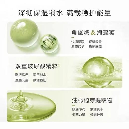 一叶子橄榄芽鲜补水保湿精华液30ml新款-4525 深度补水 缓解干燥 商品图3