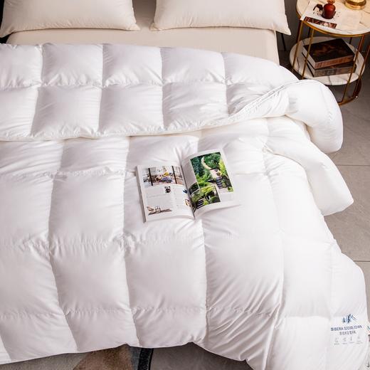 【斌哥优选】恒源祥 西伯利亚进口白鹅绒  高端静音鹅绒被 精选腹部大朵绒 立体填充 被面升级静音 1件充绒量相当于8件羽绒服 抵御西伯利亚的严寒（单被子） 商品图3
