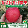 【厂商直发】陕西有机瑞香红苹果8斤装清甜多汁果型饱满包邮 商品缩略图0
