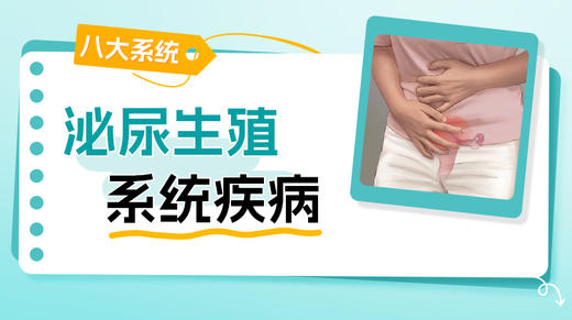 泌尿生殖系统 商品图0