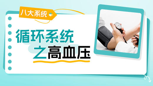循环系统-高血压 商品图0