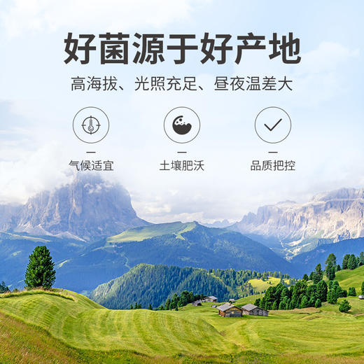 方家铺子 牛肝菌100g袋装 商品图7