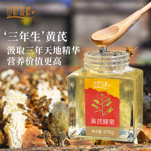 黄芪蜂蜜珍稀药花蜜 多重营养  滋补好蜜 商品图2