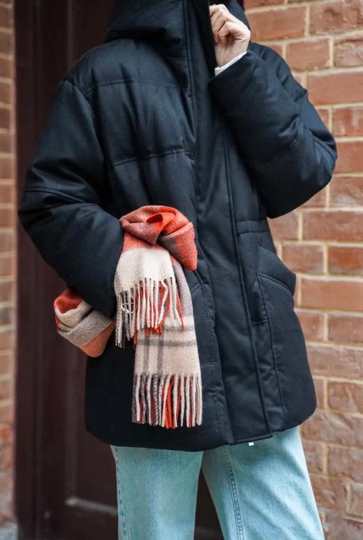 【高品质私服】【IC羊毛法兰绒羽绒服】手感柔软、绒面轻薄、色调优雅，直身松弛廓形，线条流畅G1440-CC【无标出货 介意慎拍】 商品图4