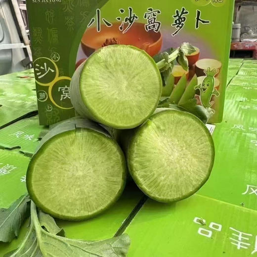 天津沙窝萝卜 商品图1