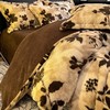 【豹纹加厚保暖兔毛绒四件套】牛奶绒床品套件可机洗床品批发跨境代发 商品缩略图2