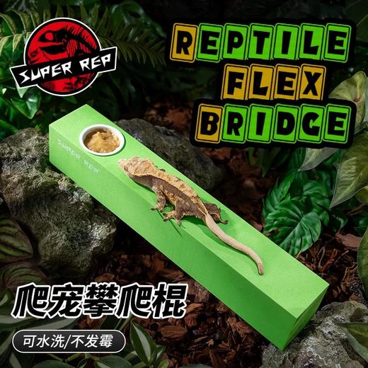 SuperRep 守宫攀爬棒 爬宠树栖 爬虫睫角盖勾亚R属树蛙 饲养缸造景棍-分销 商品图0