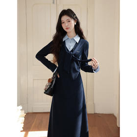 鹿向南「悉尼海岸」假两件条纹衬衫连衣裙女秋设计感法式收腰长裙