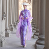 NL20250422紫色新款中式改良旗袍立领法式网纱蝴蝶袖旗袍长裙古典旗袍舞蹈服 商品缩略图2