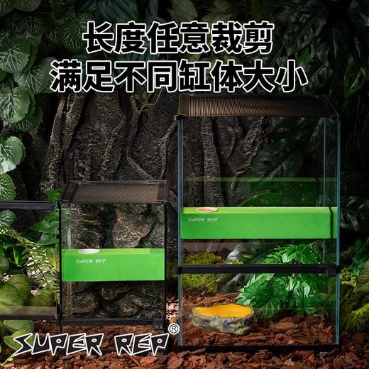SuperRep 守宫攀爬棒 爬宠树栖 爬虫睫角盖勾亚R属树蛙 饲养缸造景棍-分销 商品图4