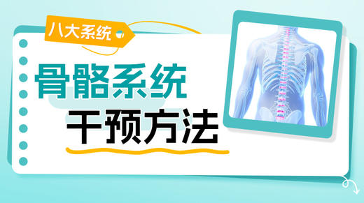 骨骼系统 商品图0