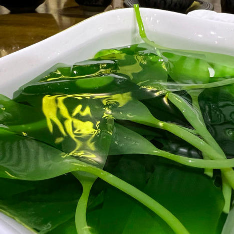 【到手5斤】一根苗 盐渍海带苗 嫩/⁫滑/鲜/爽 可涮火锅/可煲汤 500g/包 商品图4