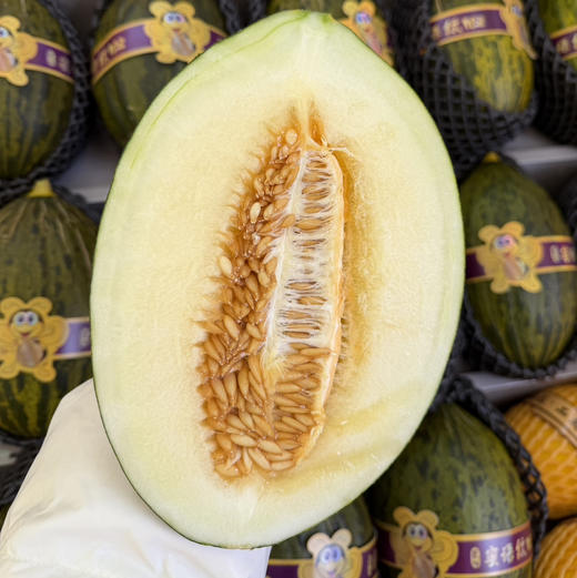 山东斗牛蜜瓜一个 商品图1