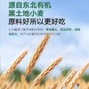 宝宝馋了有机婴幼儿面条 商品缩略图2