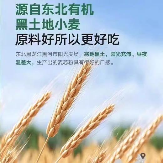 宝宝馋了有机婴幼儿面条 商品图2