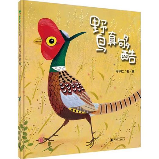 【独家旧书3折】精装儿童绘本 野鸟真够酷 二手书籍（新疆 西藏 甘肃 青海 海南不包邮）bj 商品图0