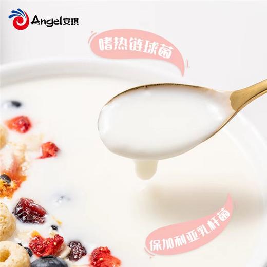 安琪酵母系列 百钻酸奶发酵菌 商品图2