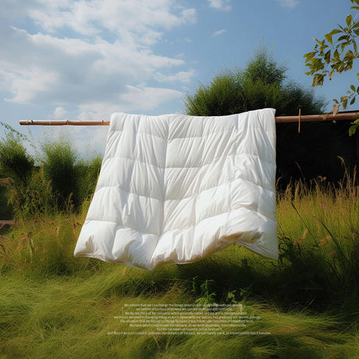 【高端羽绒被】95白鹅绒冬被 五*酒店被子被芯 冬季保暖加厚双人鹅绒被 商品图0