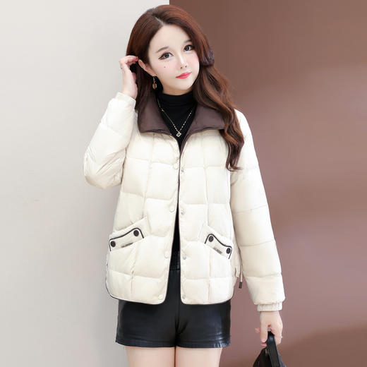 QYM 43D2520-Y轻薄羽绒服外套白鸭绒保暖外套 商品图1