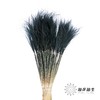 荷兰花材 | 针茅墨黑色 商品缩略图0