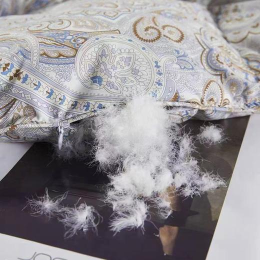 【春上新】【送1000元线下无门槛券】10楼 安睡宝 逸臻西伯利亚进口95%白鹅绒冬被-安德鲁 吊牌价9999～13999元 活动价2899~3699元 商品图3