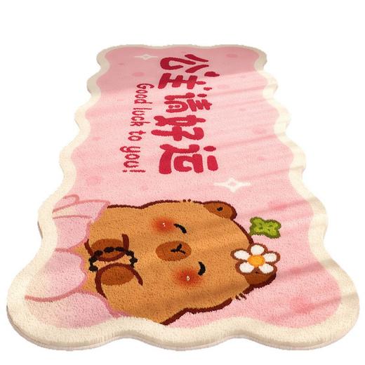 卡通异形仿羊绒防滑地毯少女卧室装饰易打理床边毯柔软隔凉飘窗垫 商品图4