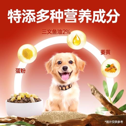 艾尔鲜肉来袭狗粮 蛋黄冻干生骨肉双拼成幼通用型犬粮 商品图3